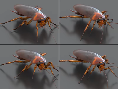 Reptile Detailed Close up Shots from Multiple Angles Showing Brown Scaly Skin and Leg Features 3d model