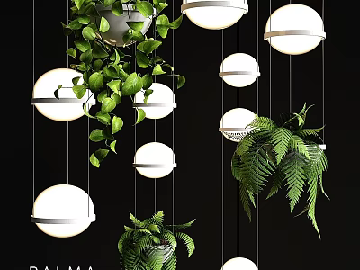 Modern Round Chandeliers With Hanging Green Plants For Stylish Interior Design 3d model