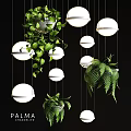 Modern Round Chandeliers With Hanging Green Plants For Stylish Interior Design