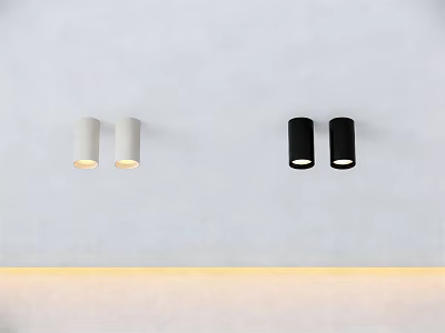 Modern White And Black Downlights Spotlights Ceiling Mounted Lighting Fixtures For Home 3d model