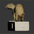 Siberian Weasel Mustela Sibirica Model Display Standing On White Base