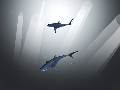 Two Sharks Swimming Underwater With Sunlight Beams And Deep Ocean Background 3d model