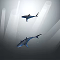 Two Sharks Swimming Underwater With Sunlight Beams And Deep Ocean Background 3d model