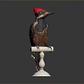 Dark Feathered Flying Animal Bird With Red Hat Perched On White Stand