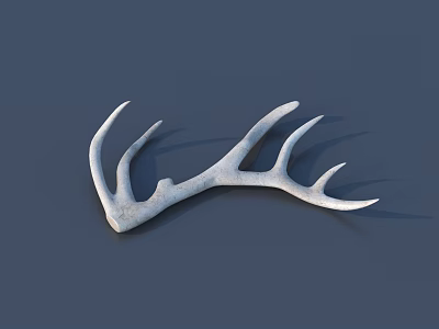 Detailed White Carved Antler Sculpture Artwork on Dark Blue Background 3d model