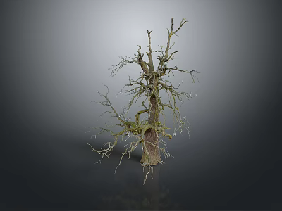 Dead Wood Dead Wood Dry Wood Dry Wood Branch Trunk Cartoon Trunk Dead Branch Tree Root Dead Tree Root Dead Tree 3d model