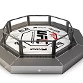 Professional UFC Octagon Fighting Ring for Mixed Martial Arts Sports Fitness