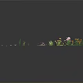 Aquatic Plants with Yellow and White Flowers Green Floating Leaves and Slender Stems