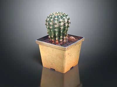 Green Spiky Cactus Plant in Square Terracotta Pot with Brown Base 3d model
