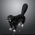 Cartoon Black And White Cat With Green Eyes Long Tail White Paws 3D Model Design