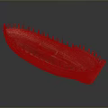 Ancient Style Wooden Boat Model With Ribbed Frame And Brown Red Wood Grain