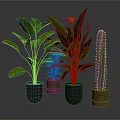 Various Indoor Potted Plants with Green Leaves and Colorful Flowers in Ceramic Pots