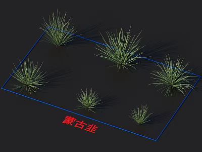 Allium Mongolicum Grass Like Plants With Different Sizes Arranged On Dark Background 3d model