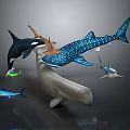 Spotted Whale Shark Black And White Orca Gray Dolphin And Small Fish