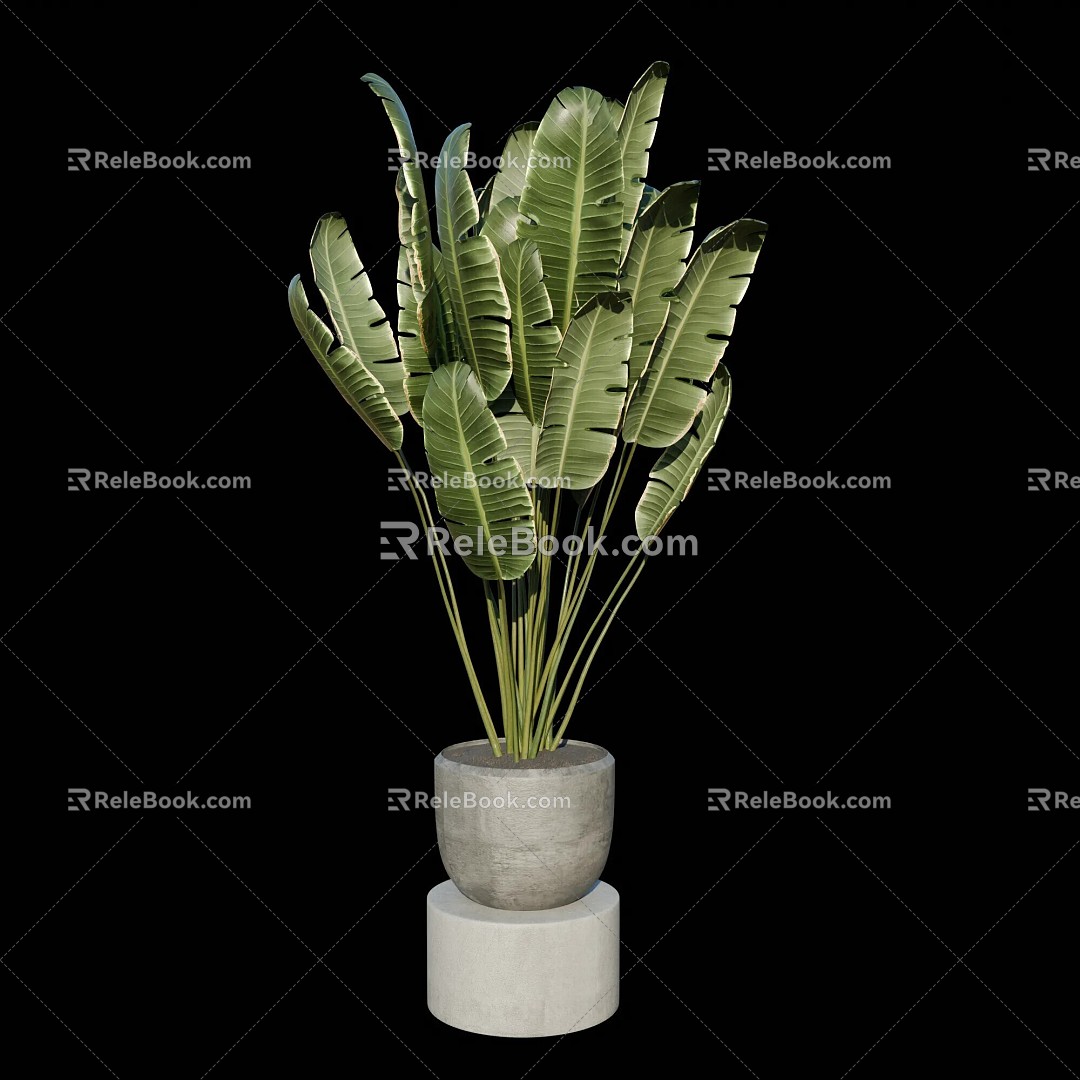 potted plant 3d model