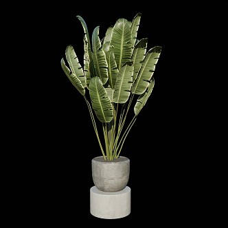 potted plant 3d model