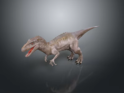 Tyrannosaurus Rex 3D Model Standing With Open Mouth Scaly Skin On Gray Background And Reflection 3d model