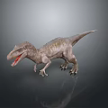 Tyrannosaurus Rex 3D Model Standing With Open Mouth Scaly Skin On Gray Background And Reflection