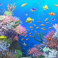 Vibrant Aquarium Fish Tank with Colorful Fish Vibrant Corals and Aquatic Plants
