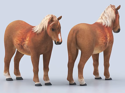 Detailed Brown Horse Models Showing Front And Back Views On White Surface 3d model