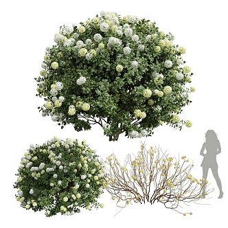 Modern Hydrangea Shrub Flower Plant Combination Outdoor Road Greening Flowers Hydrangea Trees Combination Landscape Flowers Trees 3d model