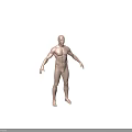 Two Full Body Male Mannequins Standing in Brief Underwear Against White Background
