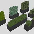 Modern Rectangular Flower Planters With Trimmed Green Shrubs For Outdoor Landscaping 3d model