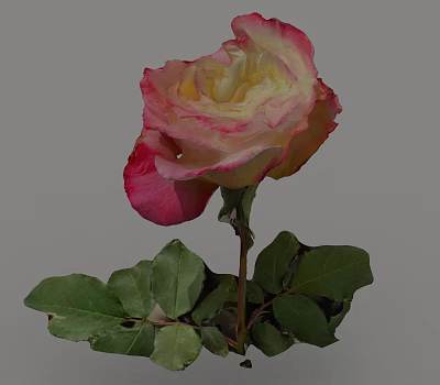 Flowers 3d model Flowers 3d model