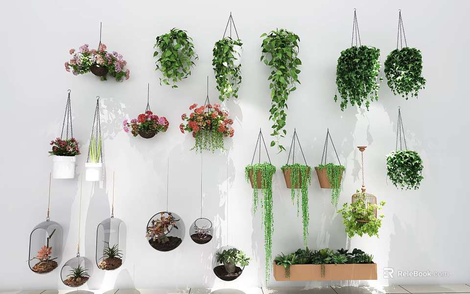 Indoor Hanging Garden Decor With Diverse Planters Trailing Vines And Greenery 3d model 