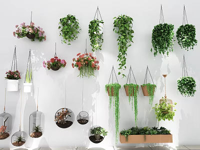 Indoor Hanging Garden Decor With Diverse Planters Trailing Vines And Greenery 3d model