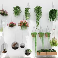 Indoor Hanging Garden Decor With Diverse Planters Trailing Vines And Greenery