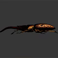 Giant Beetle With Large Red Mandibles Black Orange Body Yellow Legs Detailed Close Up View