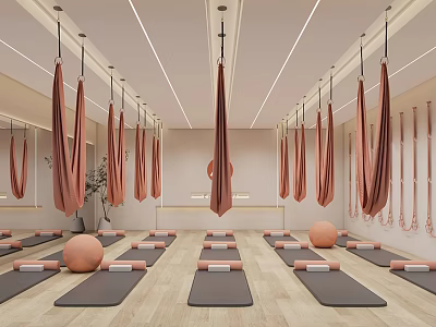 Modern Yoga Fitness Studio Interior With Aerial Hammocks Yoga Mats Exercise Balls And Wooden Floor 3d model