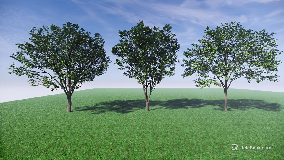 Three Tall Trees Standing On Green Grassland With Lush Foliage Under Blue Sky 3d model 