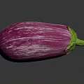 Vibrant Fresh Purple And White Striped Eggplant Isolated On Dark Background