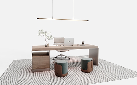 Modern Desk and Chair Combination Finished Desk Office Chair Chandelier Laptop Carpet Green Planting 3d model