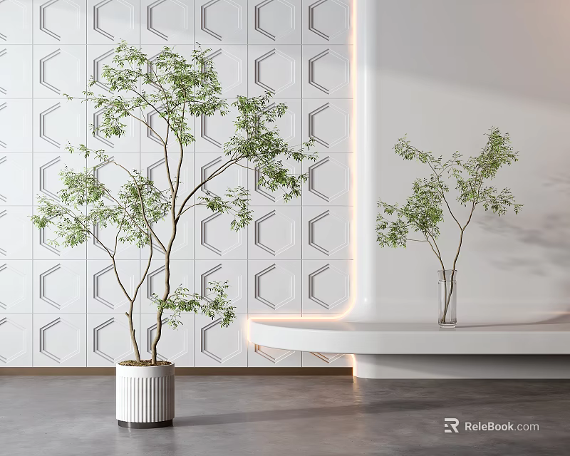 Bonsai Potted Plants In White Pot And Transparent Vase For Minimalist Interior 3d model 