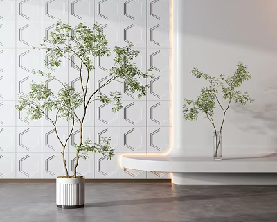 Bonsai Potted Plants In White Pot And Transparent Vase For Minimalist Interior 3d model