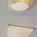 Modern Round Ceiling Light With Soft Warm Glow And Sleek Minimalist Design 3d model