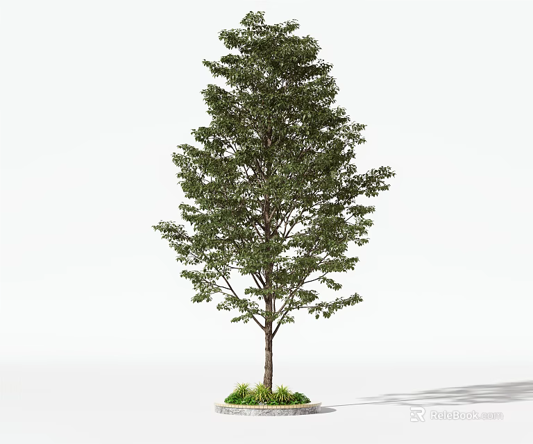 Tall Arbor With Lush Green Leaves And Brown Trunk On Grass Base 3d model 