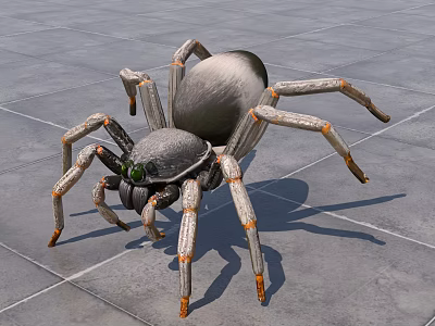 Realistic Large Spider With Gray Body And Orange Legs Green Eyes On Gray Tile Floor 3d model