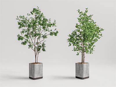 Modern Potted Plant 3d model