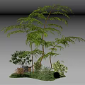 Lush Green Garden Scene With Tall Palm Plants Small Shrubs Grass And Glowing Ball Decoration
