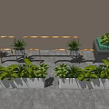 Modern White Flower Planters with Golden Metal Frames and Green Plants