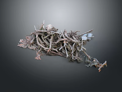 Natural Pile of Twigs with Stones and Dead Leaves on Dark Background 3d model