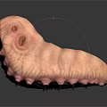 Unique Pink Animal with Textured Skin Multiple Eyes and Black Spikes on Dark Reflective Surface