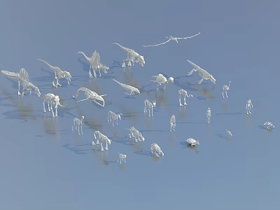 White Dinosaur Models With Feathered Wings In Various Poses On Blue Background With Water Reflections 3d model