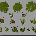 Various Tree Varieties in Landscape Design with Green Foliage and Colorful Flowering Shrubs