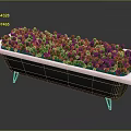 Black Bathtub With White Rim And Metal Legs Filled With Green Grass