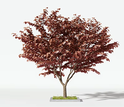 Modern Trees Trees 3d model